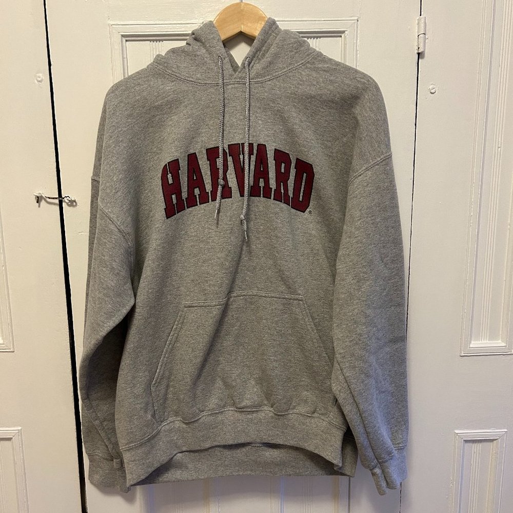 Harvard Hooded Sweatshirt by Gildan, Large in Gray